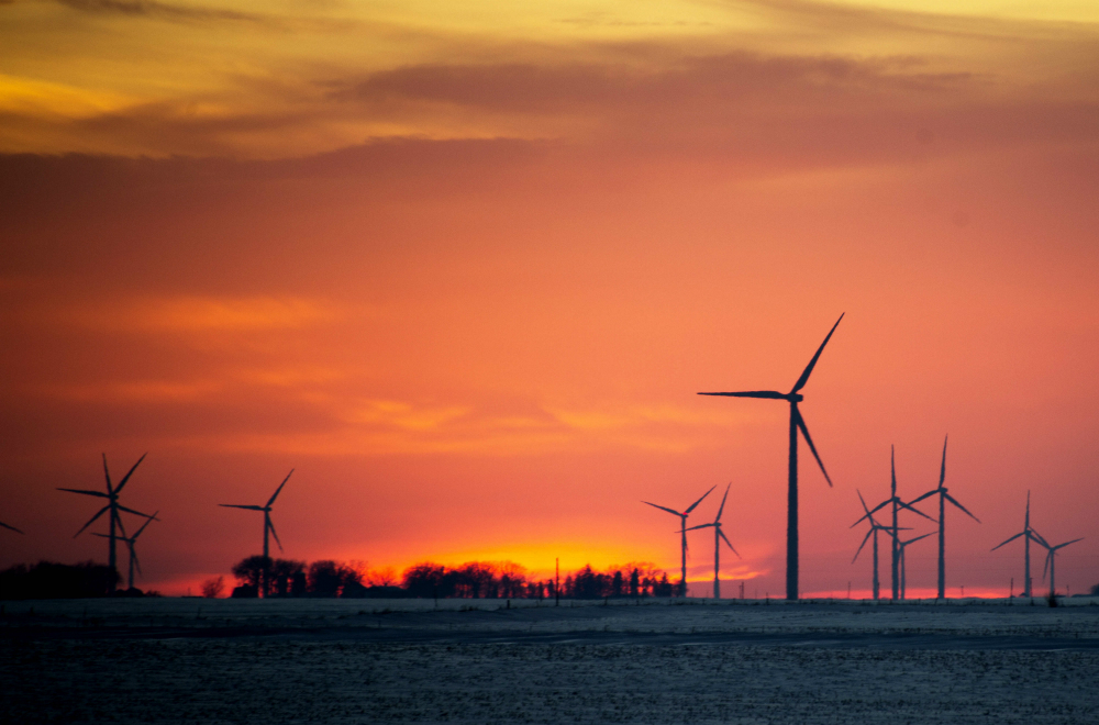 Valentines: Parque está en la ruta 7 entre Florida y Treinta y Tres. Foto: AFP