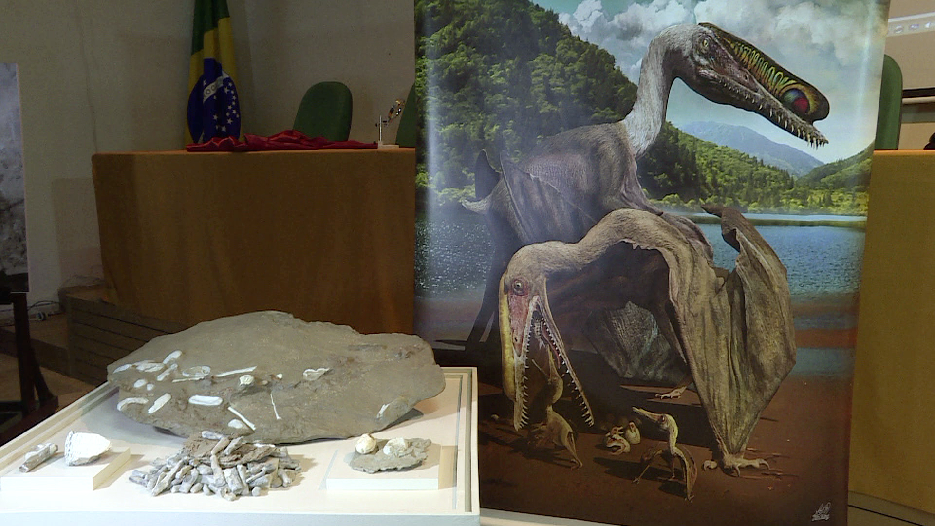 Cientos de huevos fósiles revelan los secretos del pterosaurio