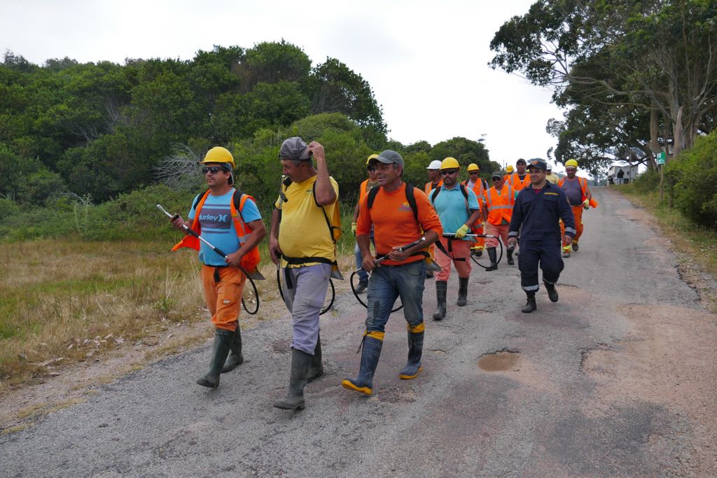 Bomberos, Intendencia y Fuerzas Armadas combaten un incendio en la zona conocida como Playa del Barco. Foto: Ricardo Figueredo
