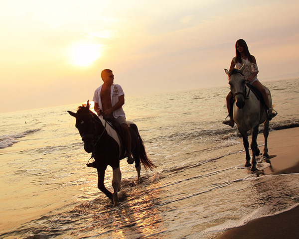 Isla de Ada Borjana. Foto: montenegro.travel