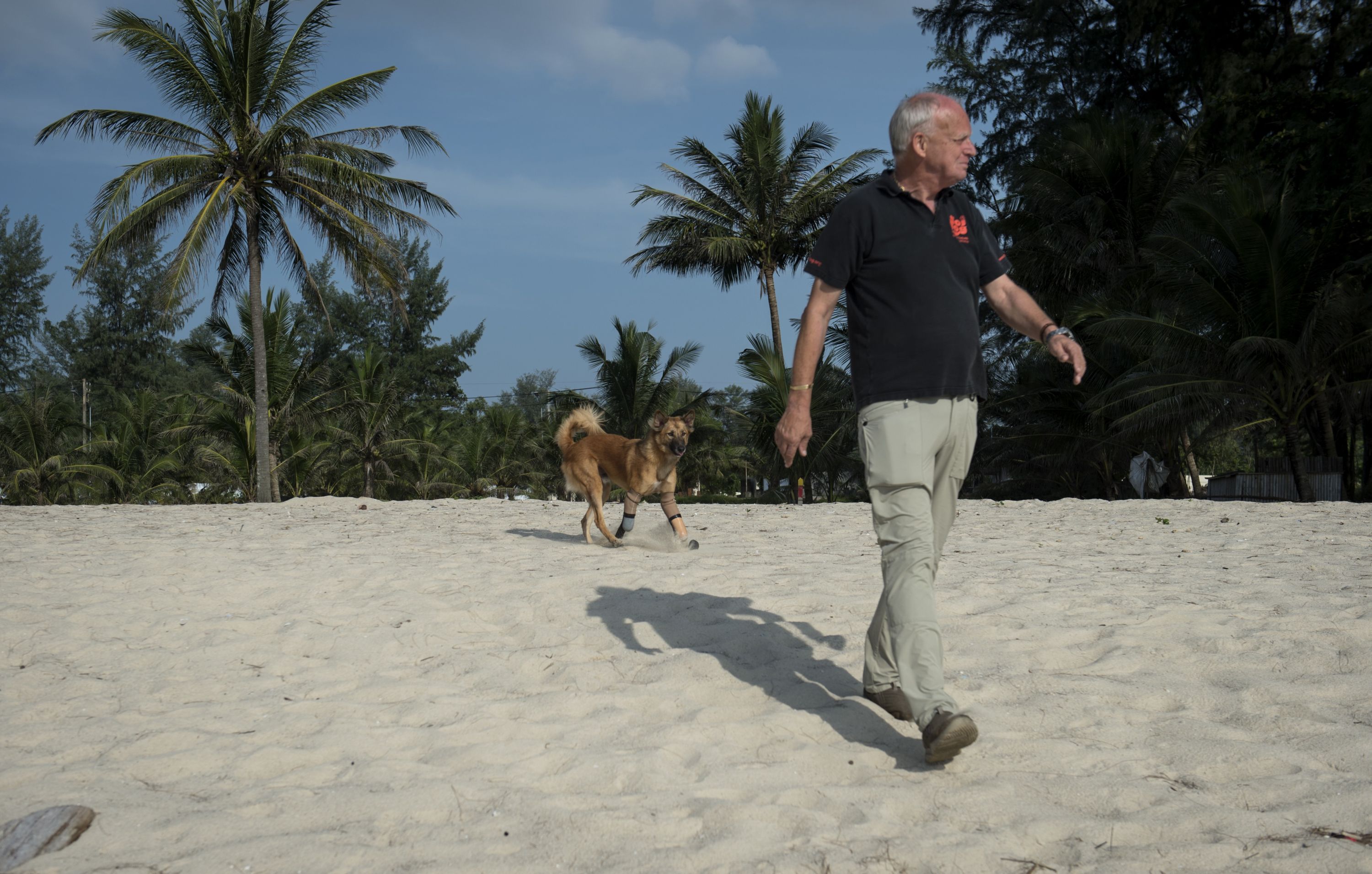 Cola, el perro tailandés que usa prótesis. Foto: AFP