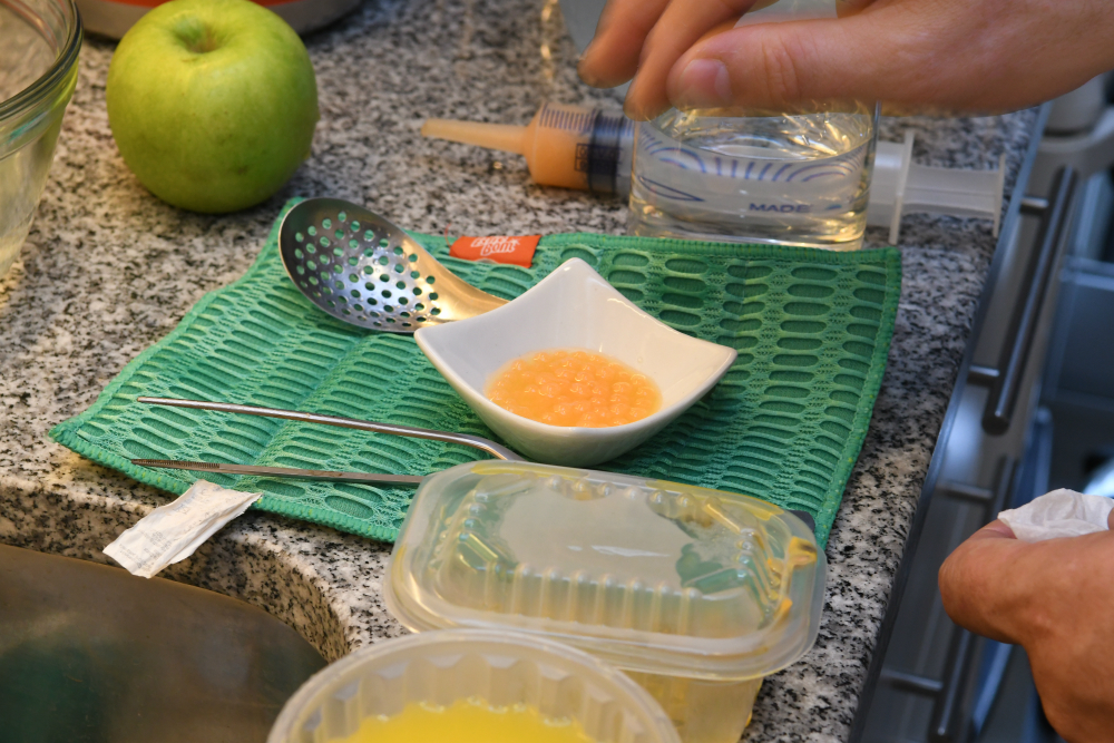 El momento de la preparación con jeringas y alginato. Foto: Ariel Colmegna