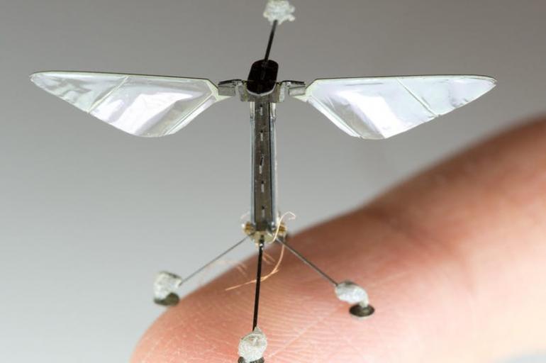 RobotBee, un robot con forma de insecto es capaz de sumergirse en el agua y volar. Tan solo pesa 175 miligramos y tiene un gran potencial para la polinización de cultivos, misiones de búsqueda y rescate.