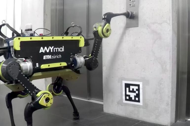 ANYmal es un robot cuadrúpedo diseñado para un funcionamiento autónomo en entornos desafiantes. Es capaz de pedir un ascensor y subirse en él. Foto: ETH Zurich