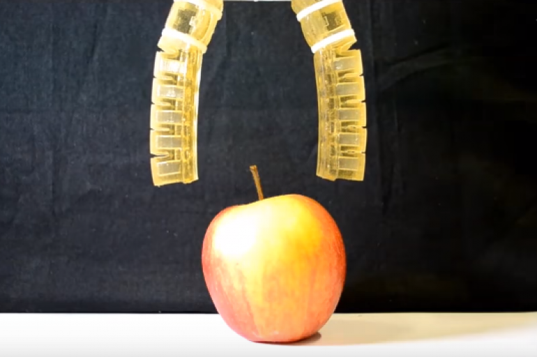 Prototipo de robot que está hecho con materiales blandos completamente comestibles, que podrían ser mezclados con componentes farmacéuticos para transportarlos dentro del cuerpo humano. Con este proyecto se podrían remplazar ciertas herramientas médicas,