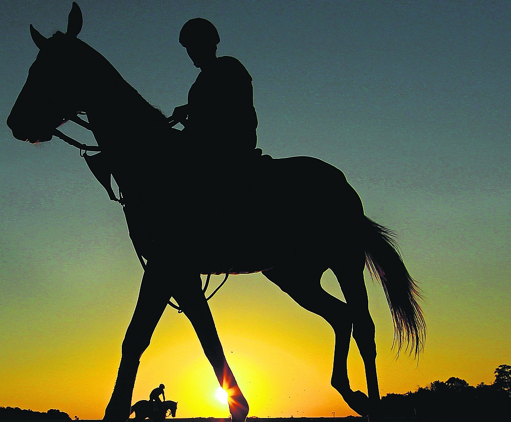 Pasión. Es lo que sienten los empresarios por esta actividad. (AFP)