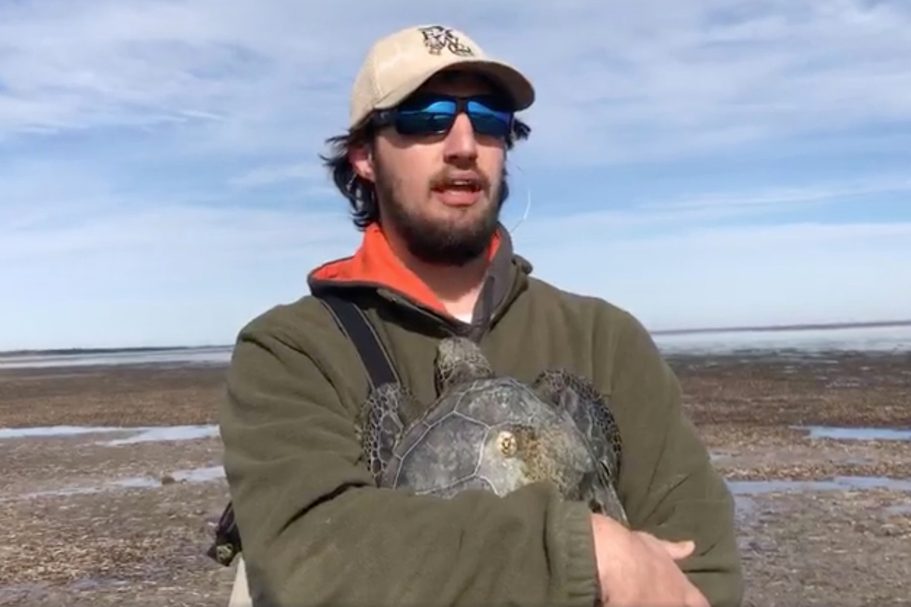 Iguanas y tortugas se congelaron debido a las bajas temperaturas. Foto: Reuters