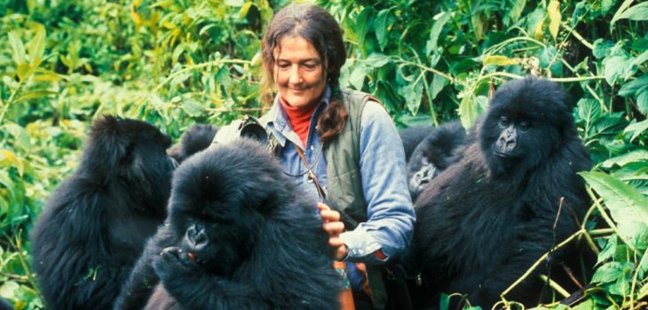 Dian Fossey