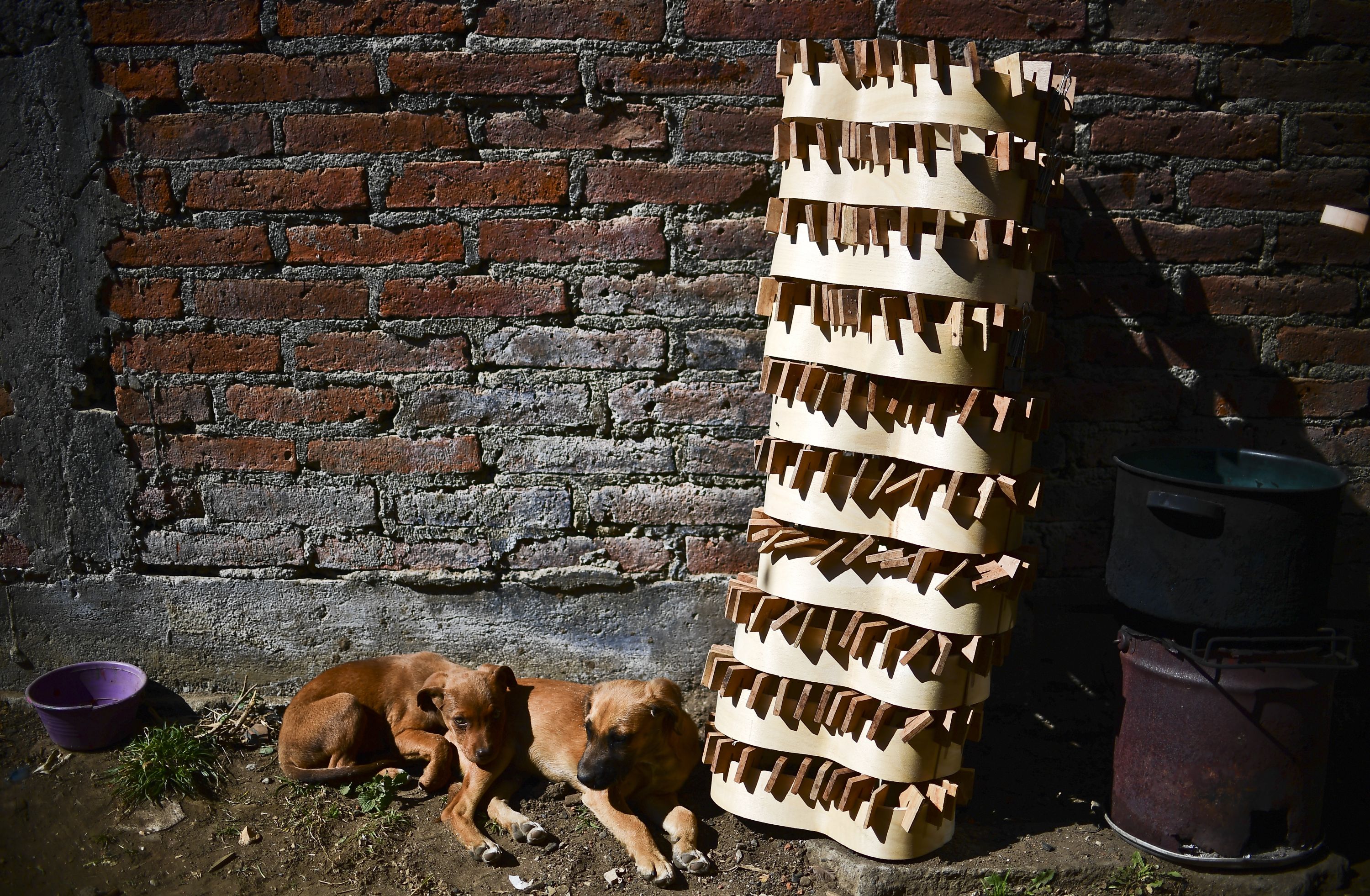 La película "Coco" de Disney causa furor por guitarras mexicanas.