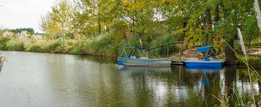 Recorrido. El establecimiento está a 25 km del Centro de Montevideo. Foto: Gentileza La Macarena.