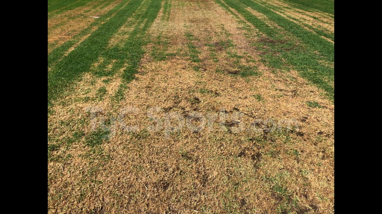 El campo de juego del Monumental al ser quemado. Foto: TyC Sports