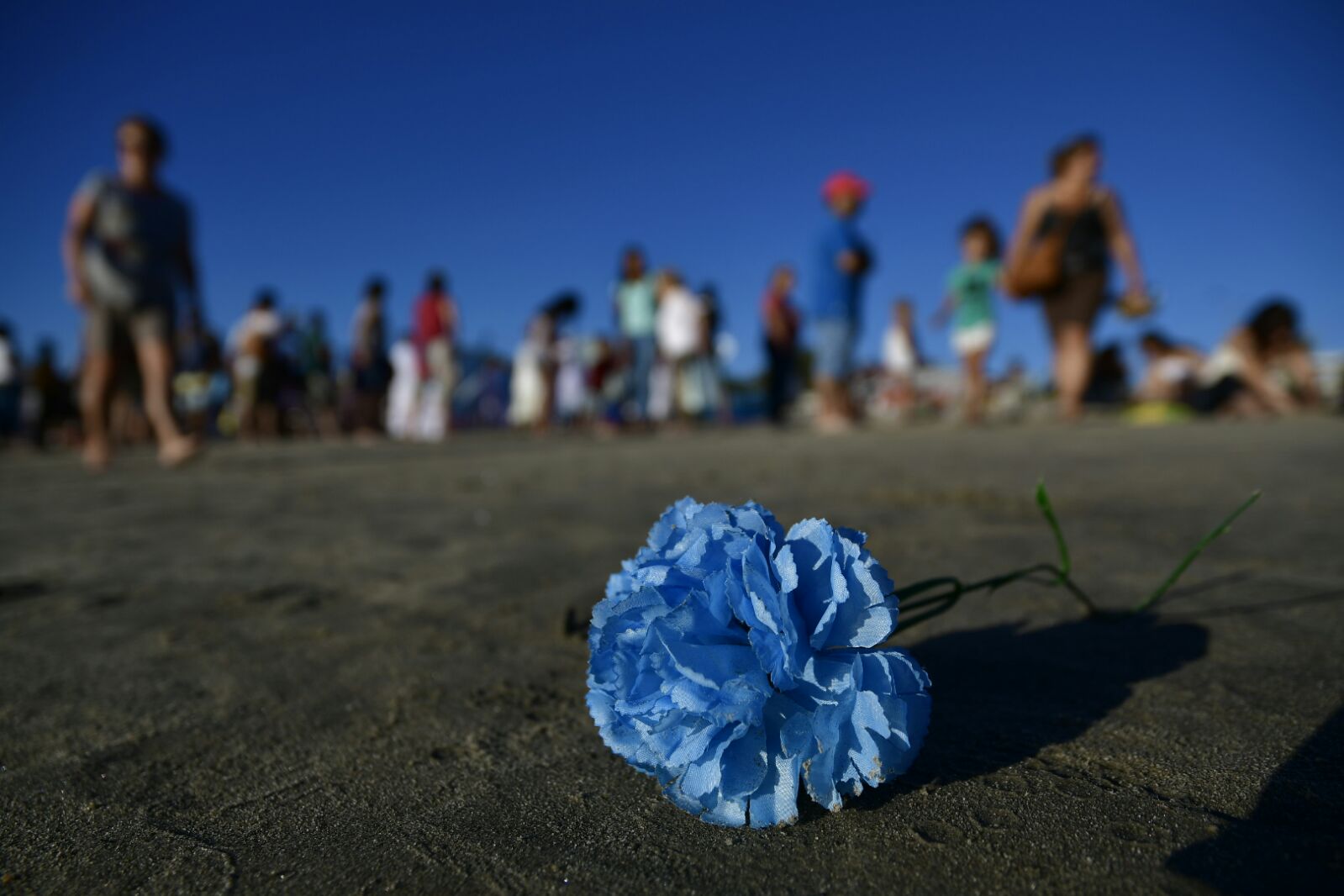 Miles celebran la fiesta de Iemanjá en playas de Montevideo. Foto: Fernando Ponzetto