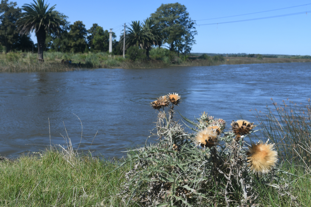 Se realizaron visitas guiadas por el entorno del Río Santa Lucía para poner al día lo que se hace en preservación  especies y su medio ambiente. Foto: F. Flores