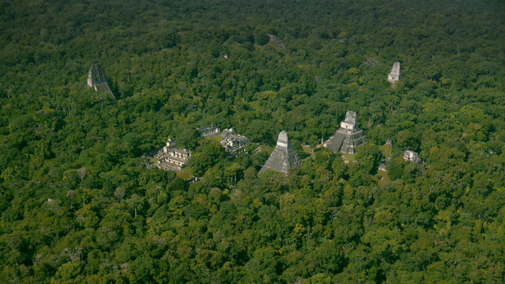 Las pirámides de la Reserva de la biósfera Maya Foto: Cortesía de NatGeo