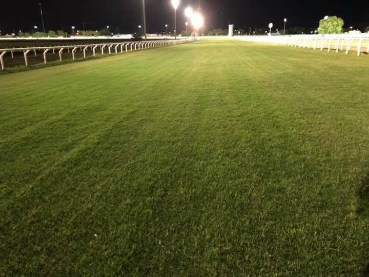 Pista de céspes.