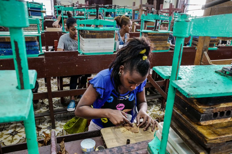 Así se fabrican los habanos en La Habana, Cuba. Foto: AFP