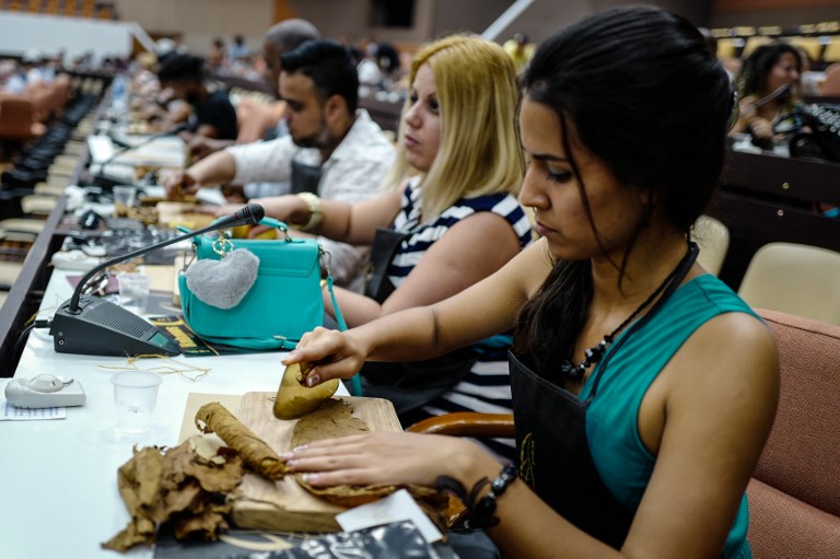 Así se fabrican los habanos en La Habana, Cuba. Foto: AFP