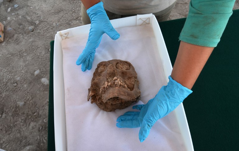 Hallazgos en "El Rosal" datan de entre el 100 y el 650 d.C. Foto: AFP