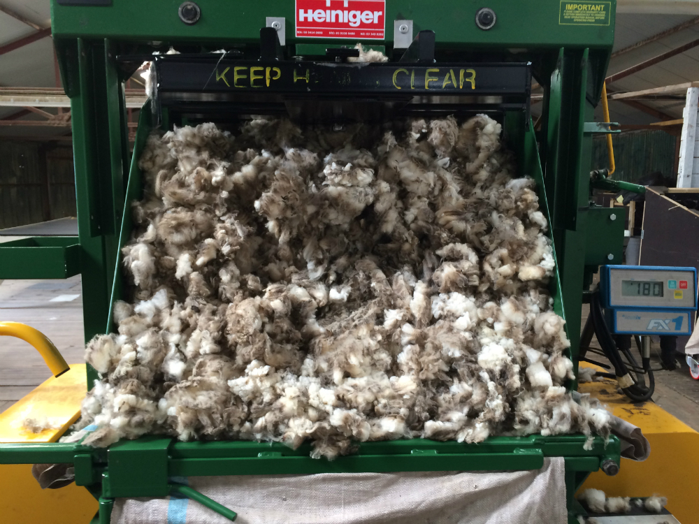 Planta de esquilado de la isla en Goose Green. Foto: Mathias Da Silva