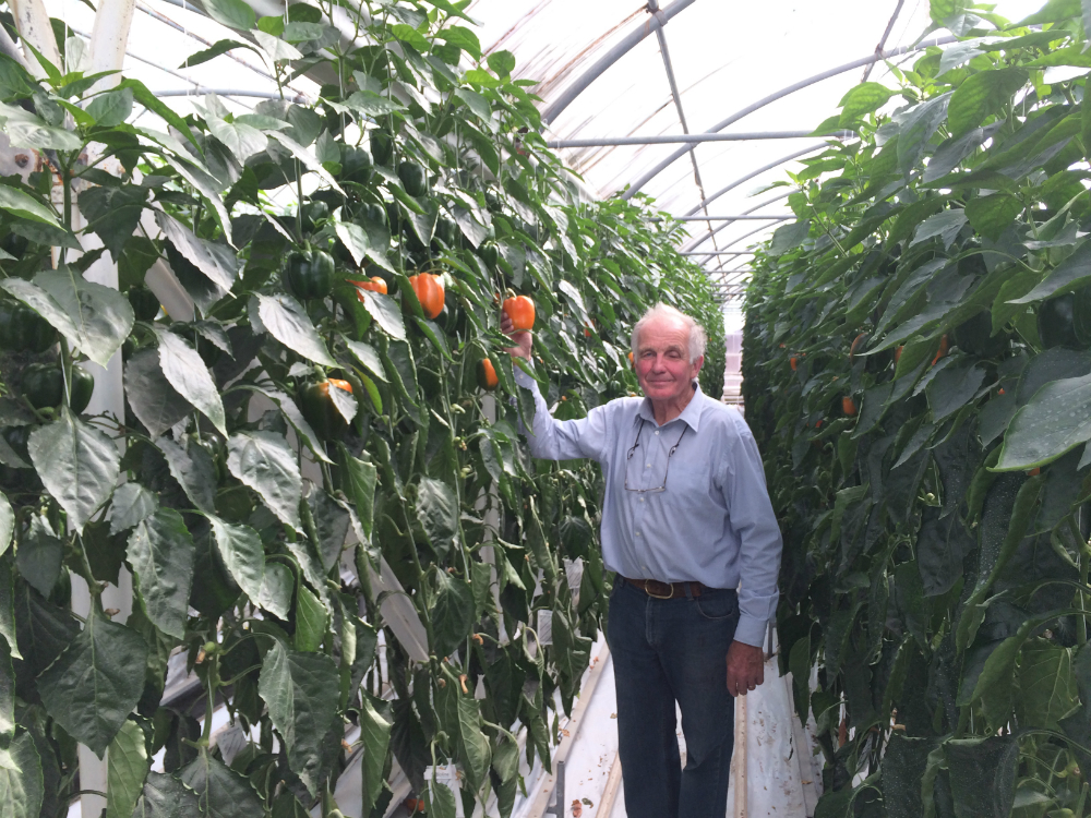 Tim Miller, el mayor productor agrícola. Foto: Mathias Da Silva