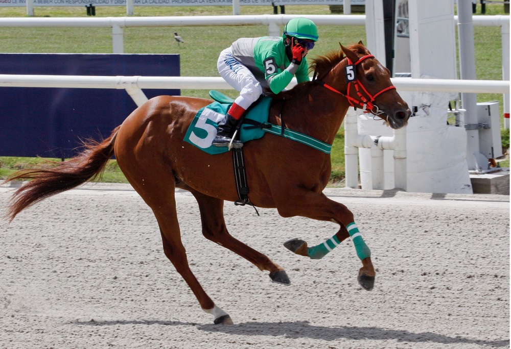 Muy fácil. Así fue la victoria del mejor dos años de Maroñas. Foto: Maroñas