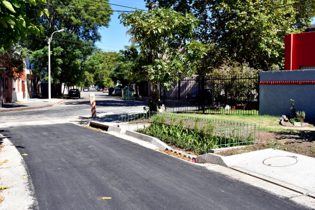 "Jardines de Lluvia" en el Municipio C. Foto: IMM