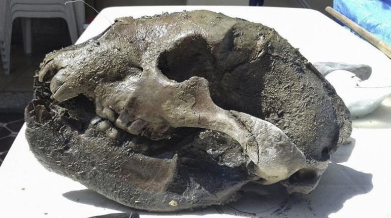 Foto: Universidad de la Matanza