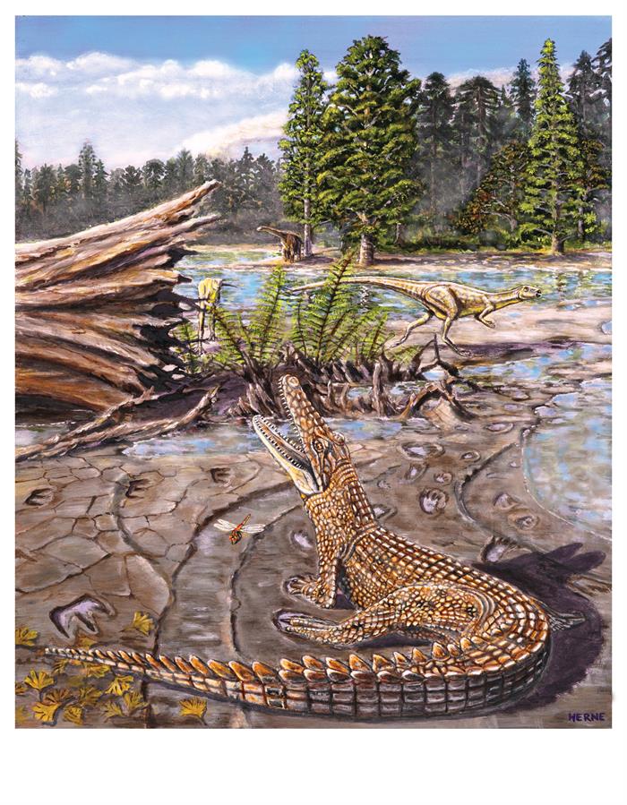 Cocodrilos australianos. Foto: EFE