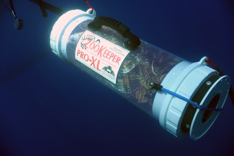 Atrapando pez león en el Mediterráneo. Foto: AFP