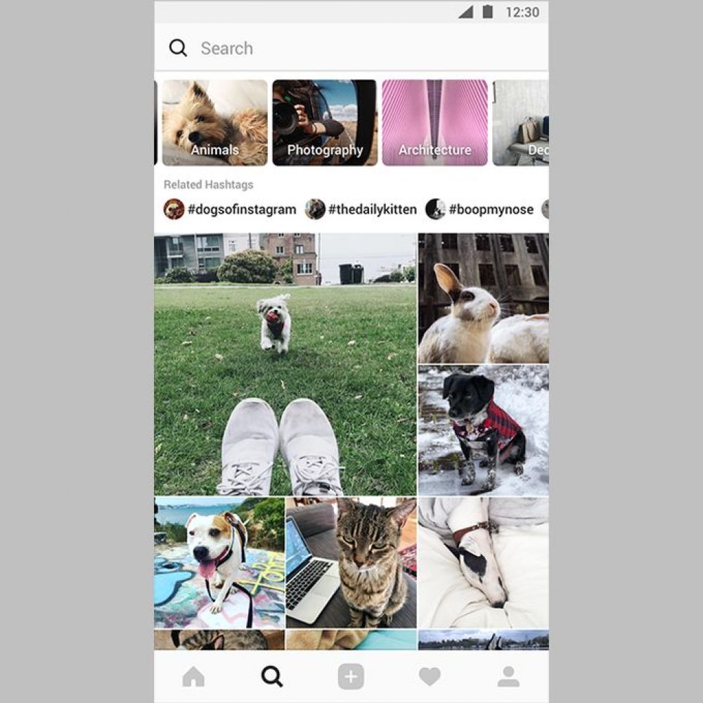 Así luce la nueva sección explorar de Instagram. Foto: Captura