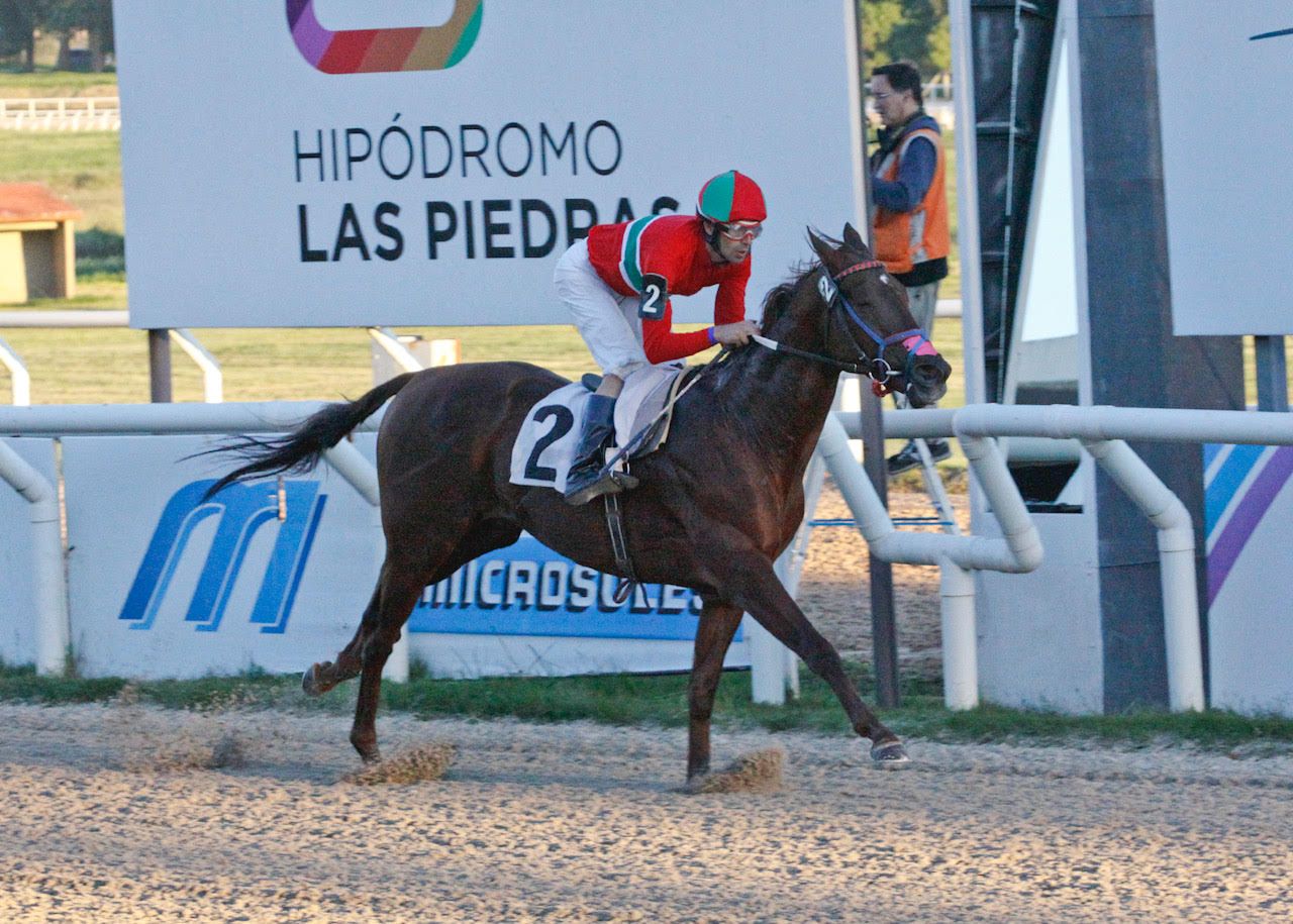 Don Feluco