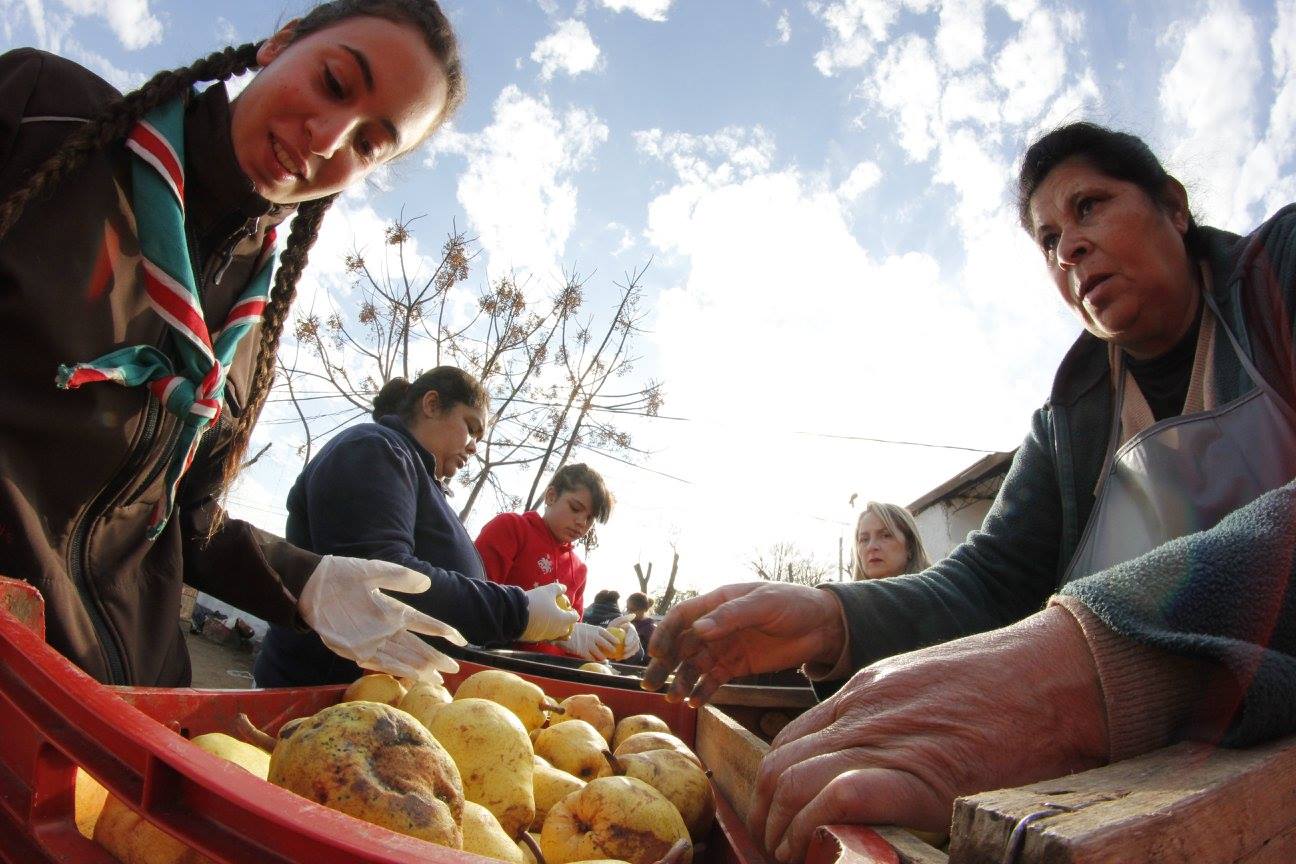 Redalco: evitan que una gran cantidad de frutas y verduras terminen en la volqueta. Foto: involucrate.com.uy