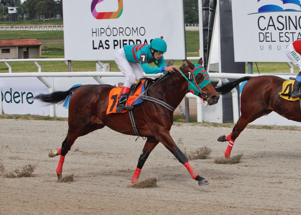 Hocico. Fue la distancia que lo separó de Riki.