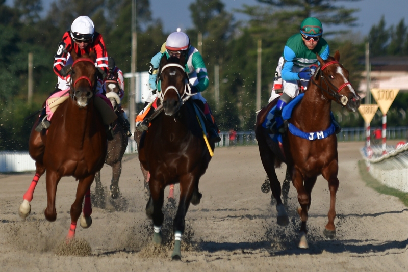 Foto: Fernando Ponzetto