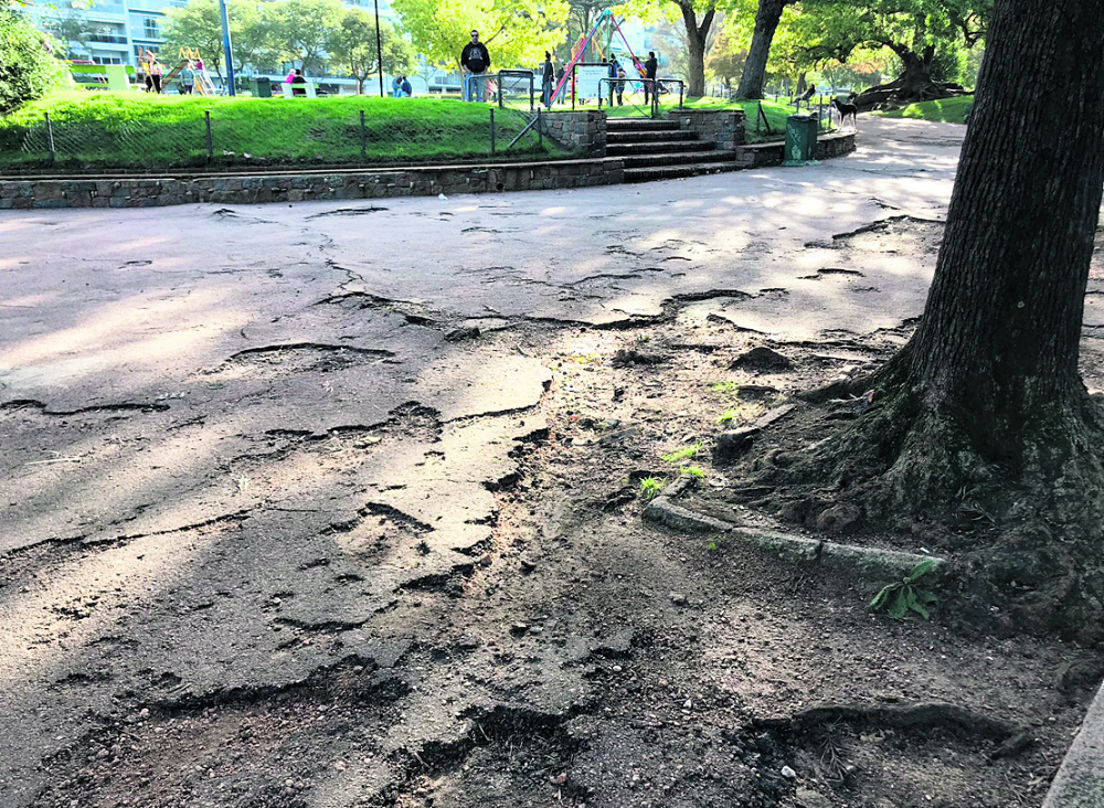 El alcalde del Municipio CH, si bien no tiene competencia sobre el parque, ofreció dinero para recuperarlo. Foto: El País