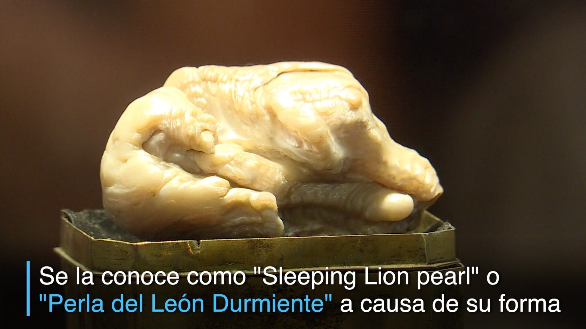 Mayor perla natural de agua dulce vendida en 320.000 euros