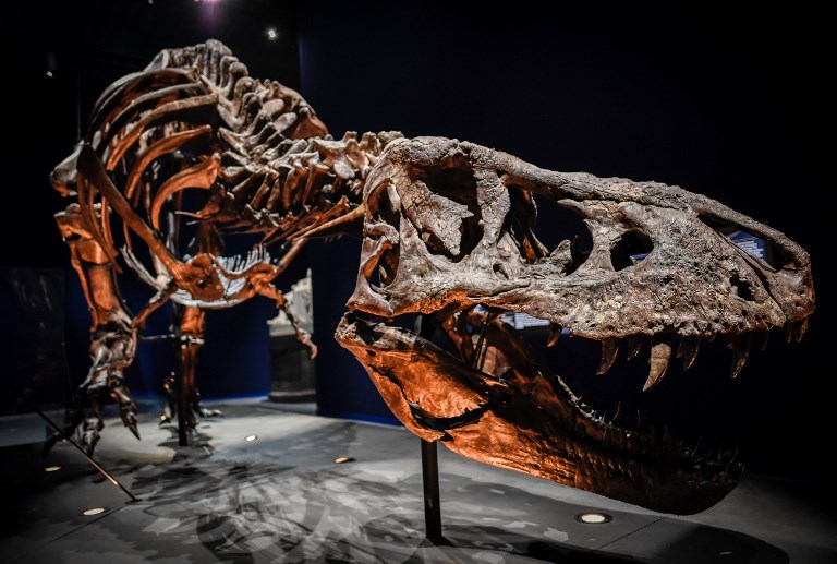 T-Rex