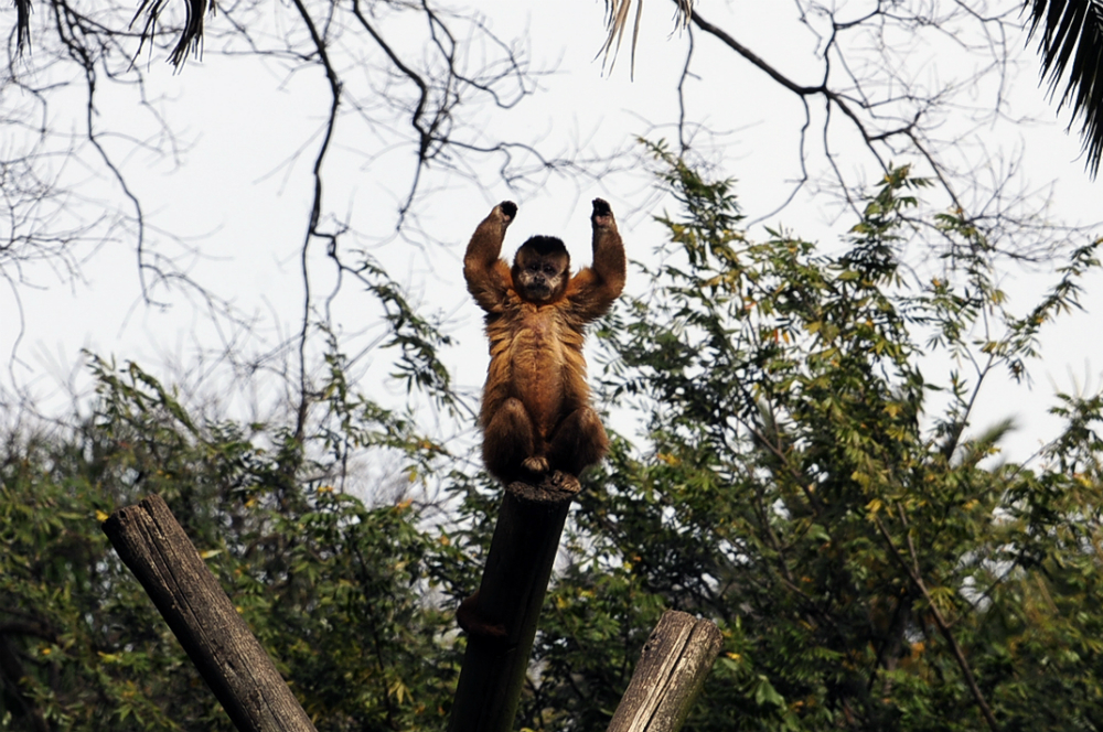 Recorrida por Zoológico de Villa Dolores. Foto: Fernando Ponzetto.