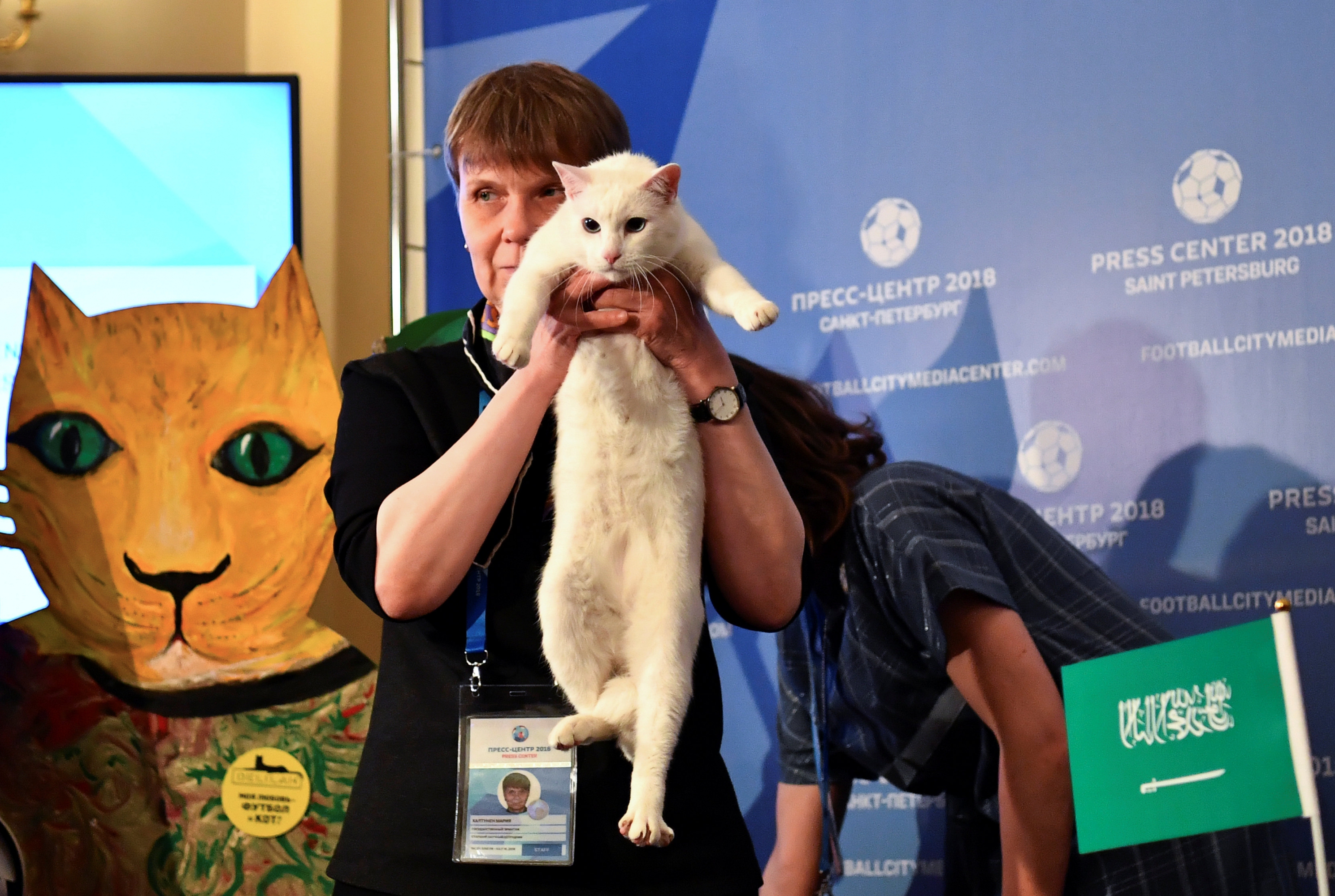 Aquiles, el gato que predice el Mundial en Rusia. Foto: AFP