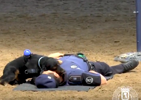 Poncho, el perro de la policía de Madrid