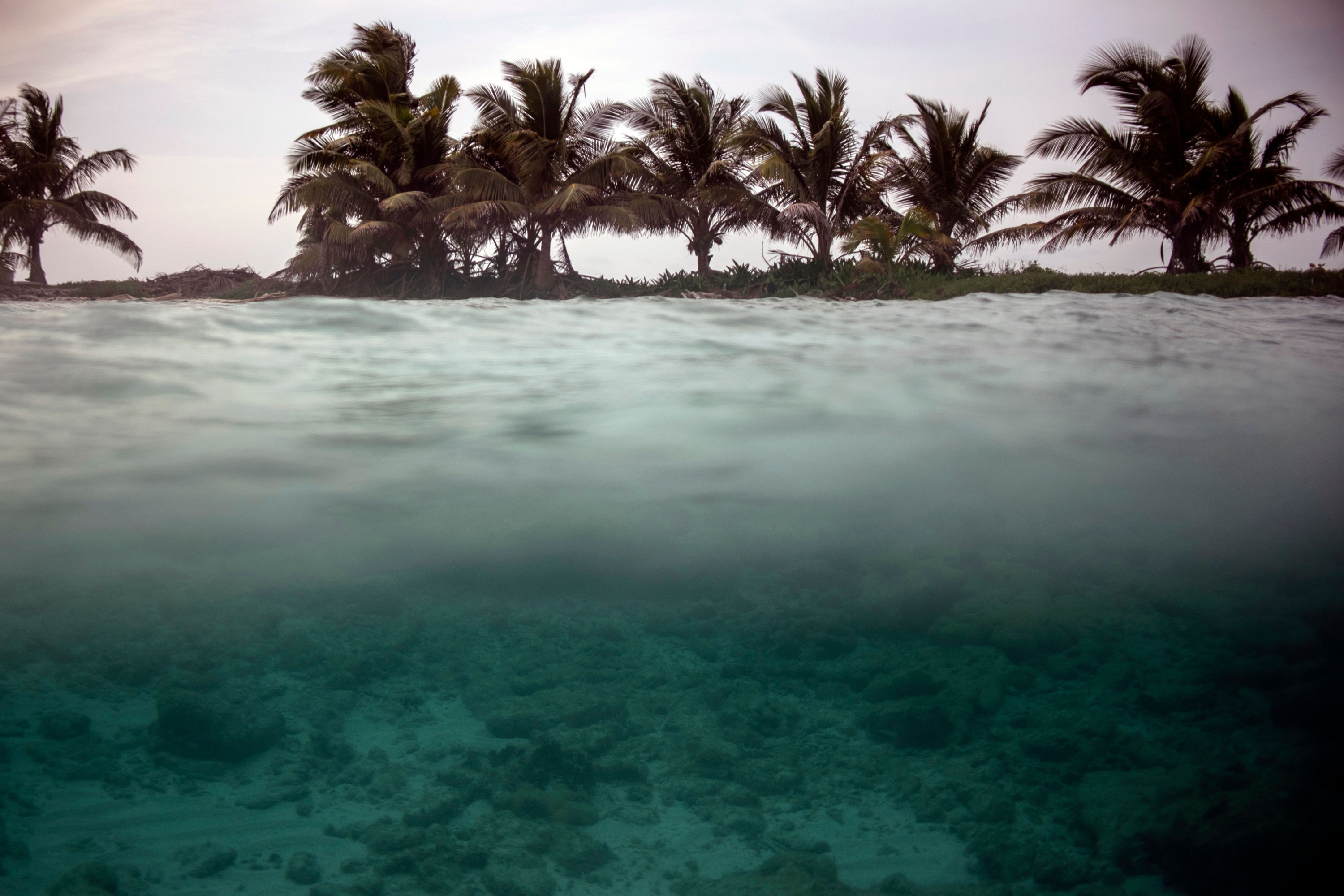 Imágenes de la barrera de coral de Belice, la segunda más importante del mundo. Foto: AFP