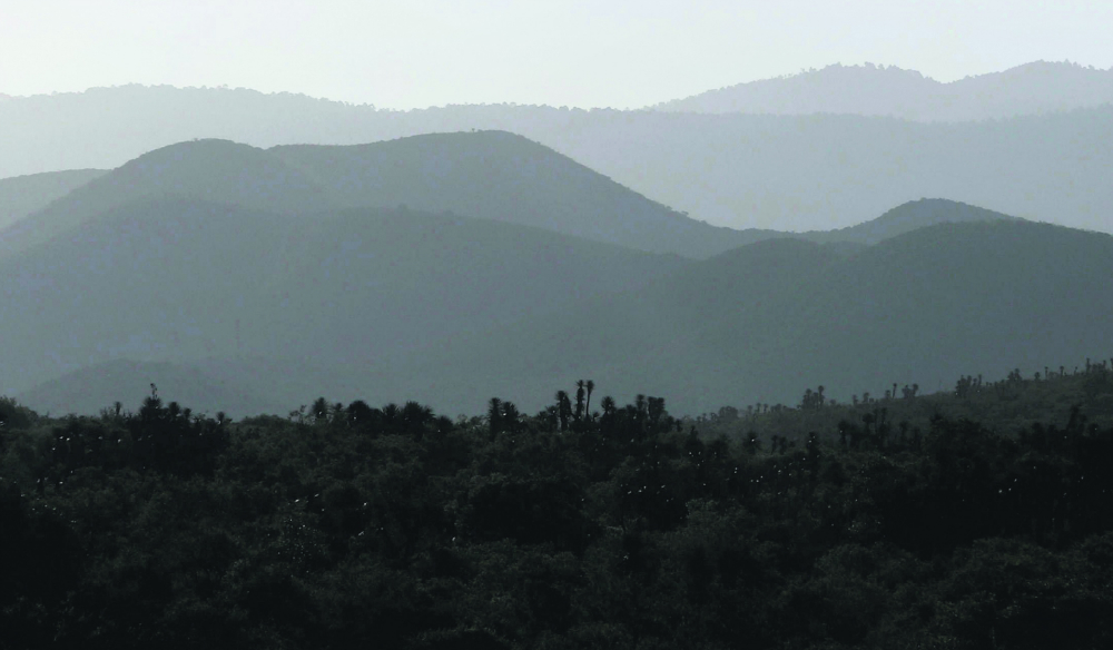 Valle de Tehuacán-Cuicatlán, México. Foto: EFE