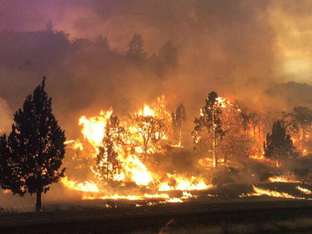 Una persona murió como consecuencia del incendio y cientos fueron evacuadas. La devastación es notoria en un área forestada. Foto: EFE