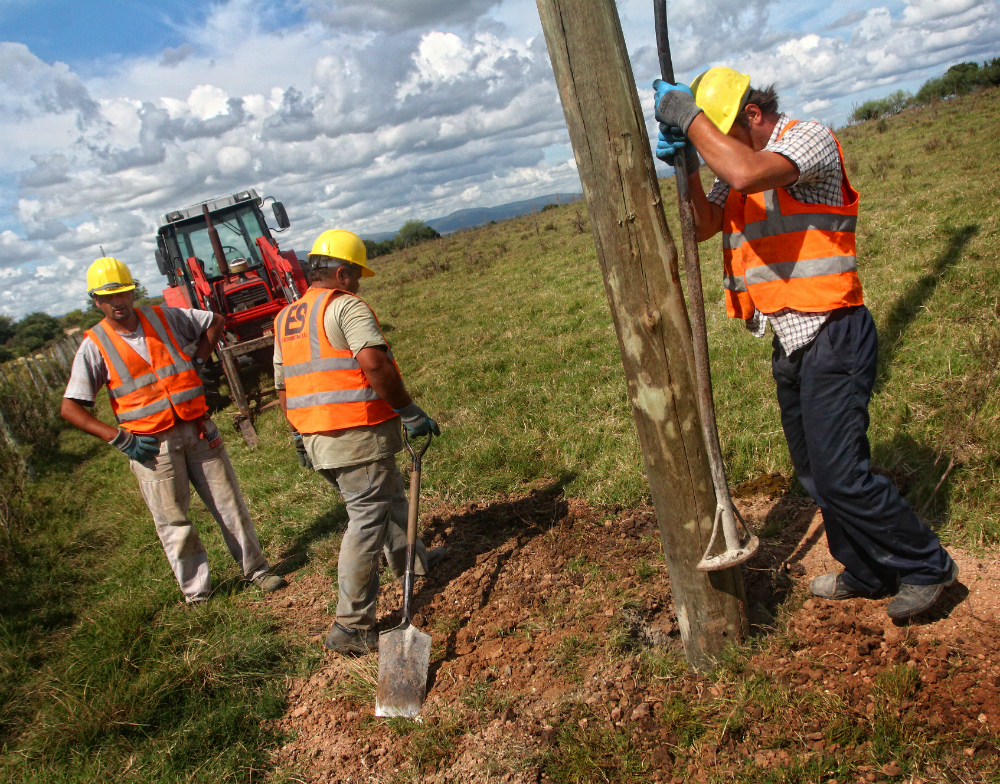 Obras: las hacen empresas privadas contratadas por los vecinos y supervisadas por UTE. Este año habrá 529 km nuevos de tendido. Foto: Federico Estol