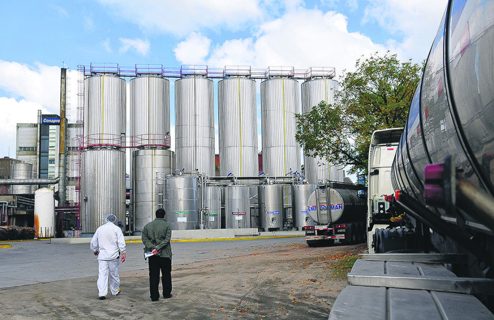 Sector lácteo: parece despejarse su horizonte tras la flexibilización de la postura sindical. Foto: archivo El País.