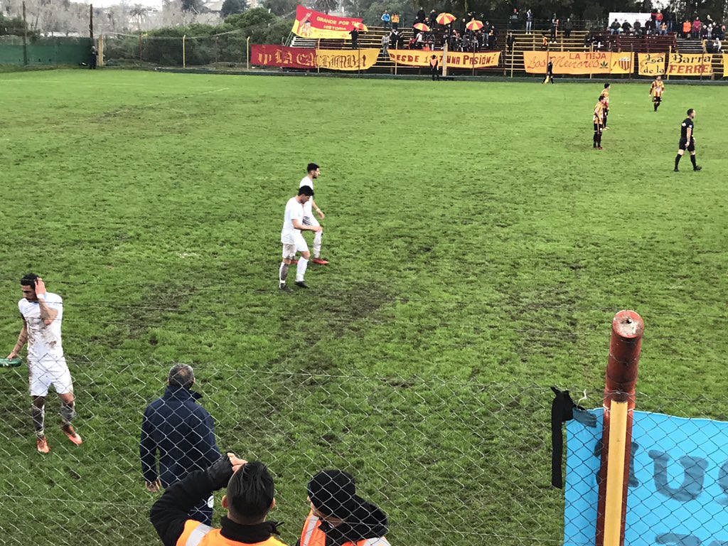 El barro y la falta de pasto se veía desde la tribuna del Paladino. Foto: Emiliano Esteves