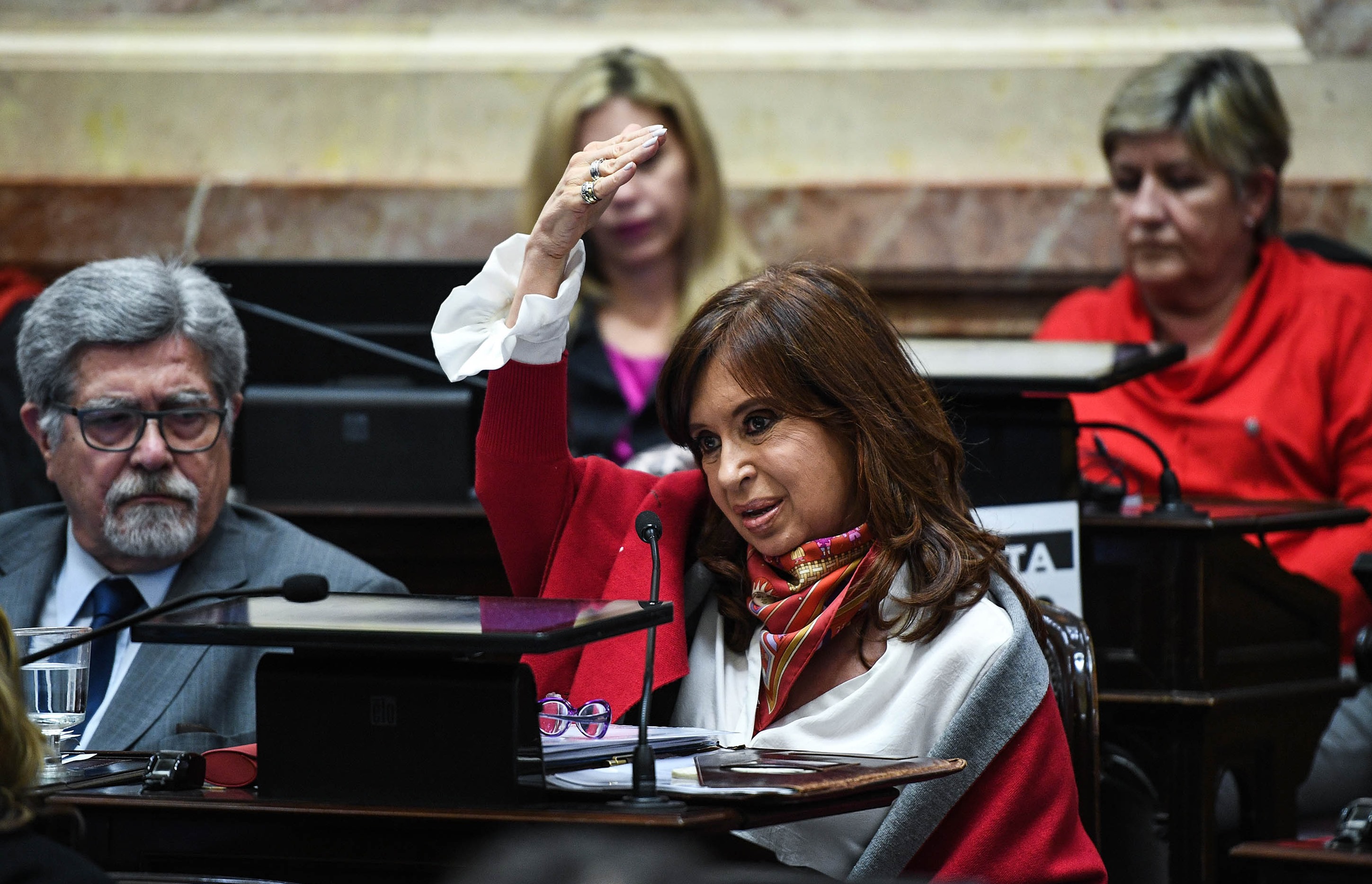 Cristina Fernández en el Senado por aborto. Foto: AFP