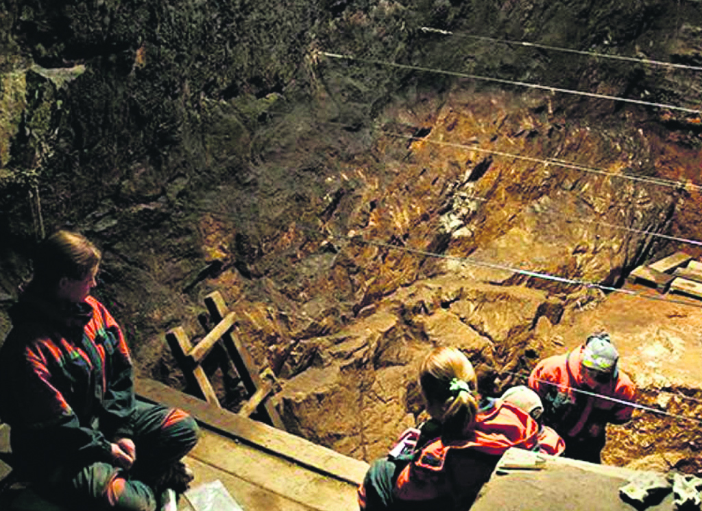 La primera hija de dos especies