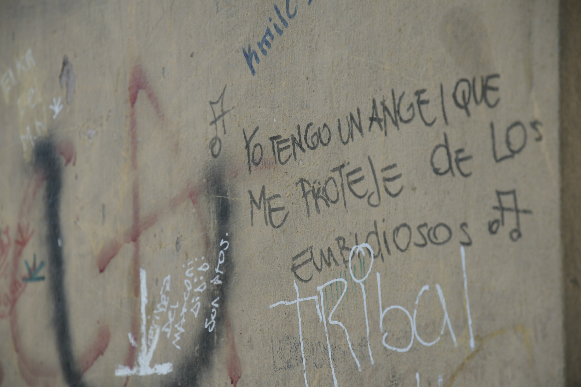 Hogar Tribal del Inau. Foto: Leonardo Mainé.