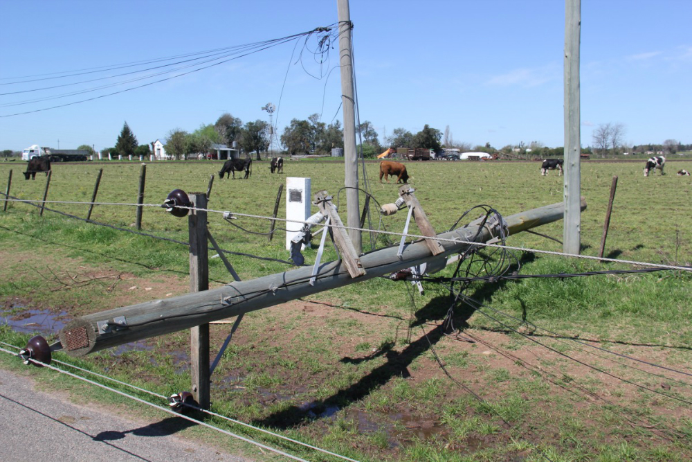 Sin luz: el viento tiró también columnas del alumbrado público.